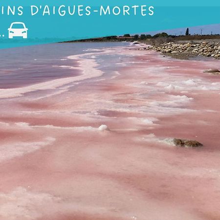 Le Flamant Rose - Cosykaz Διαμέρισμα Aigues-Mortes Εξωτερικό φωτογραφία